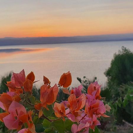 Comfy Stays Sea View Apartments At Deadsea Samarah Resort Sweimeh Exteriör bild