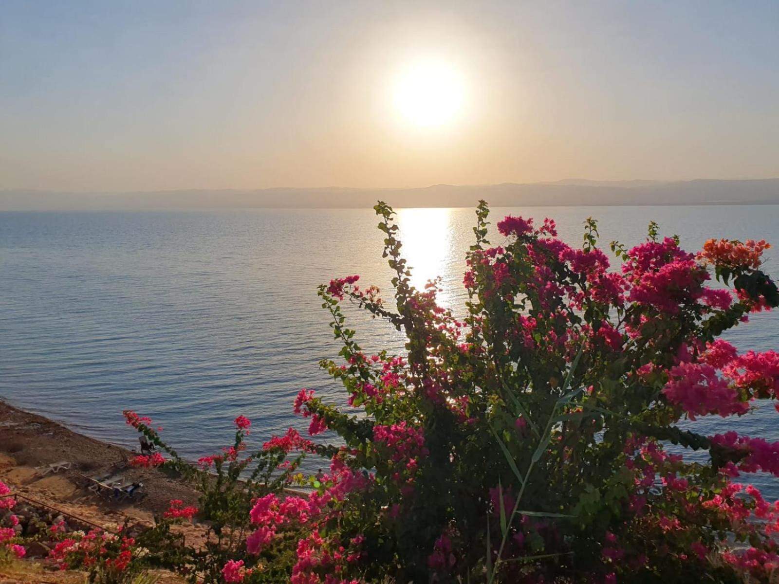 Comfy Stays Sea View Apartments At Deadsea Samarah Resort Sweimeh Exteriör bild